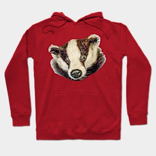 Arty Badger Hoodie